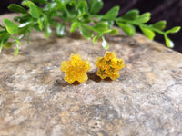 Handpoured Resin Blossom Flower Stud Earrings