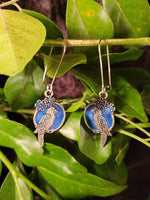 Handpoured Resin Parrot Earrings